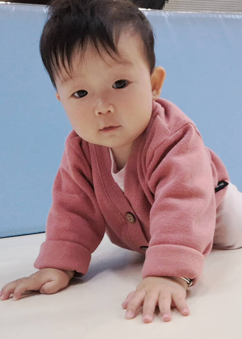 模特-