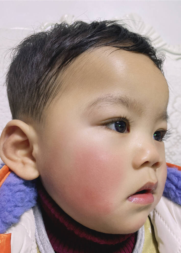 模特-