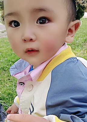模特-