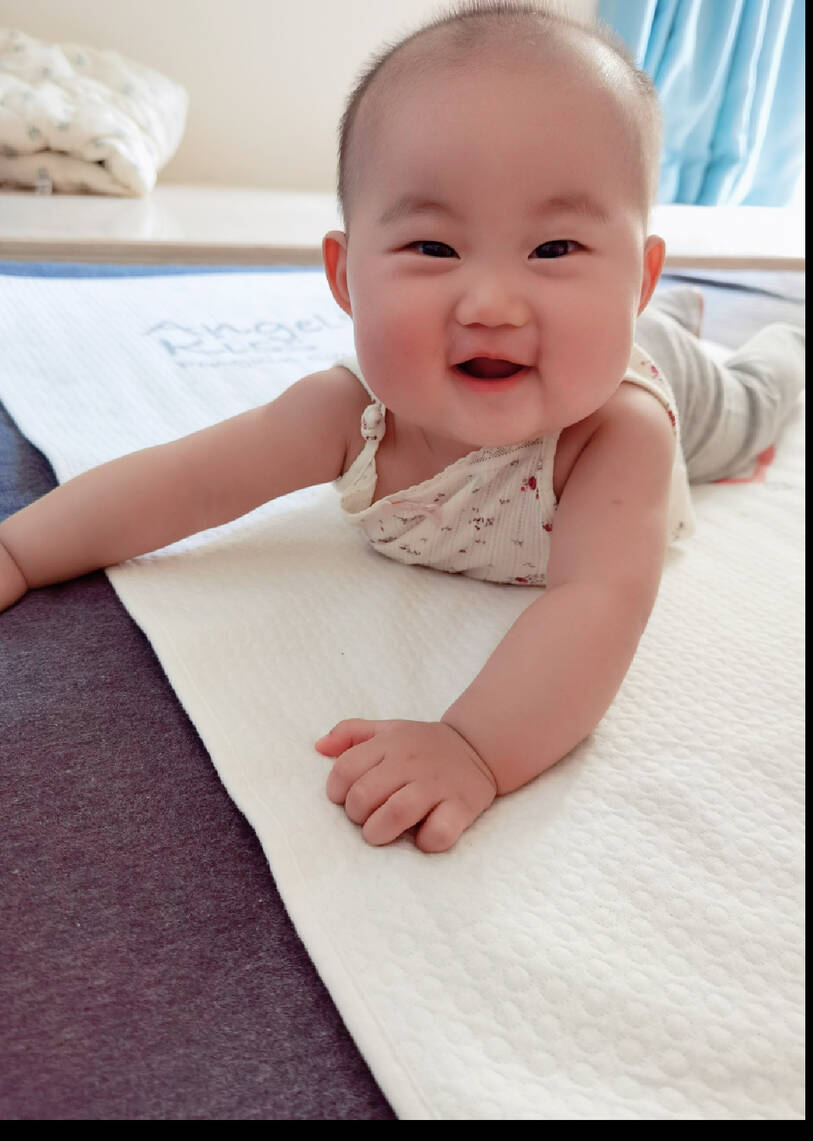 模特-