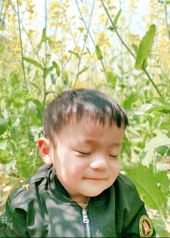 模特-