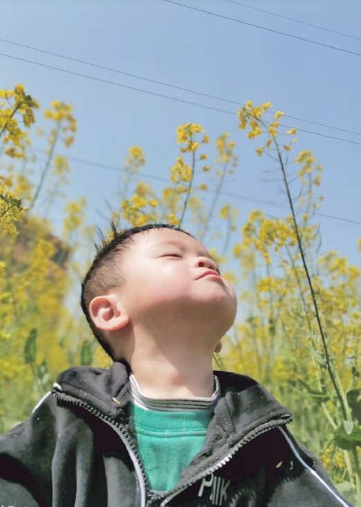 模特-