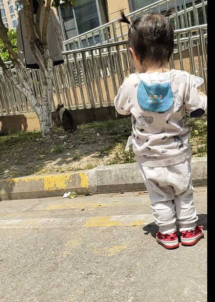 模特-
