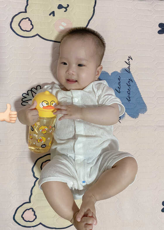 模特-