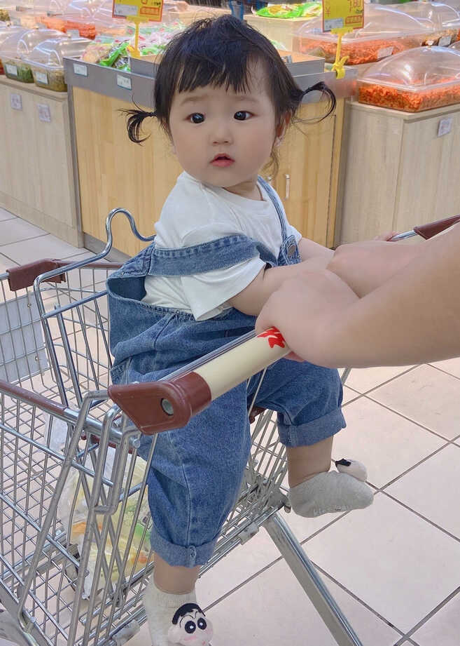 模特-