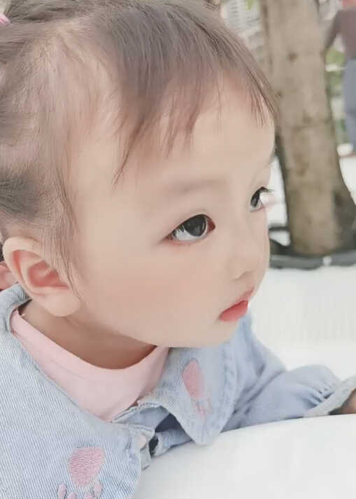 模特-