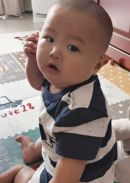 模特-