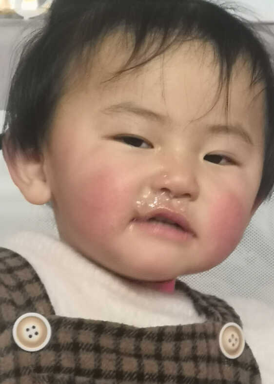 模特-