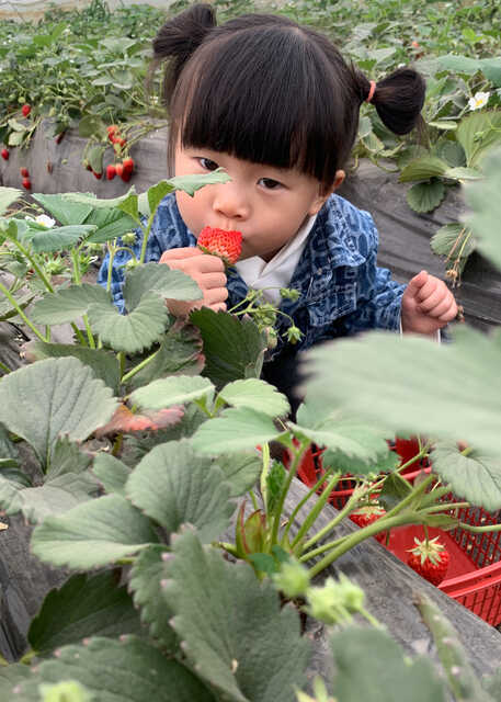 模特-