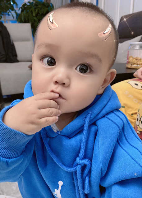 模特-