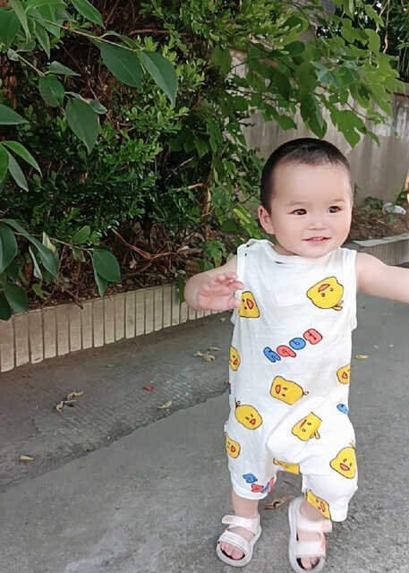 模特-