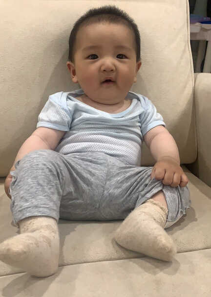 模特-