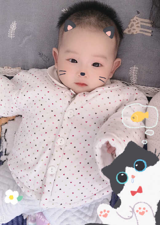 模特-