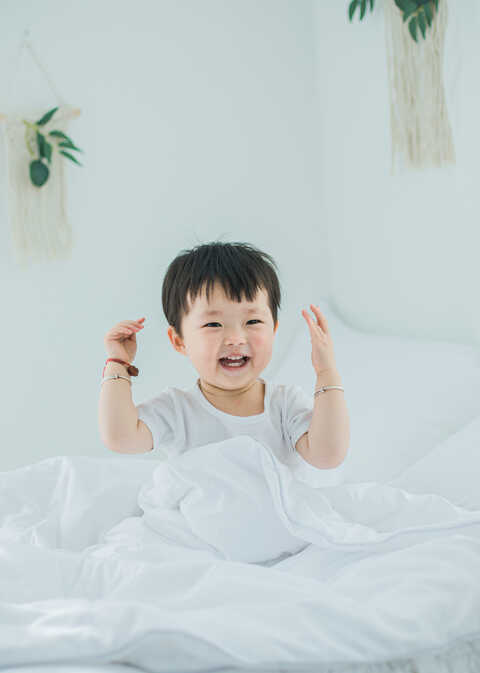 模特-