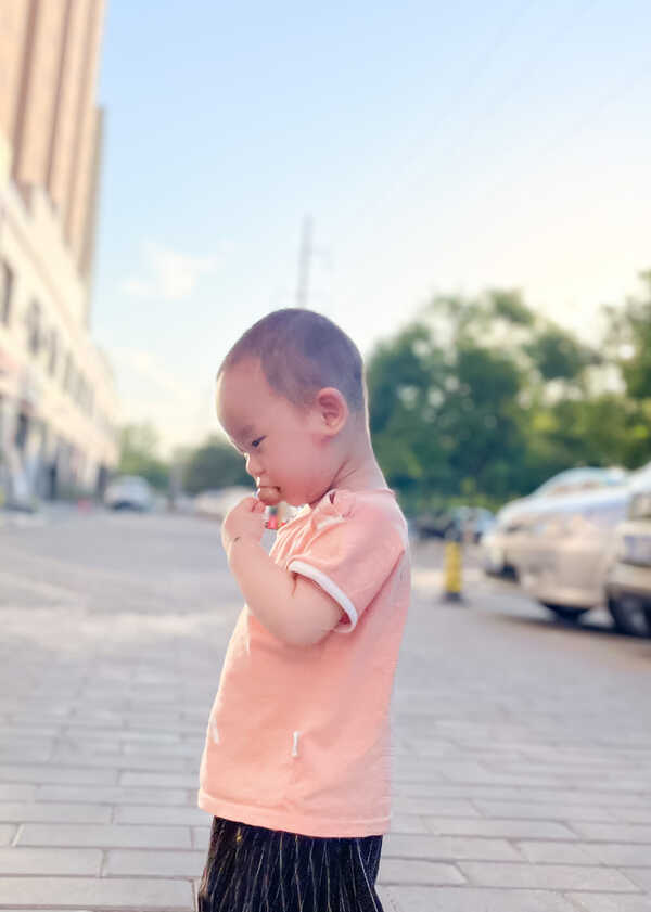 模特-