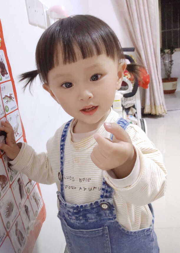 模特-