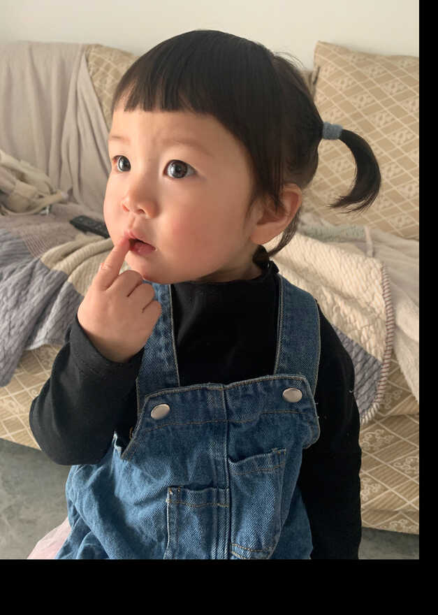 模特-
