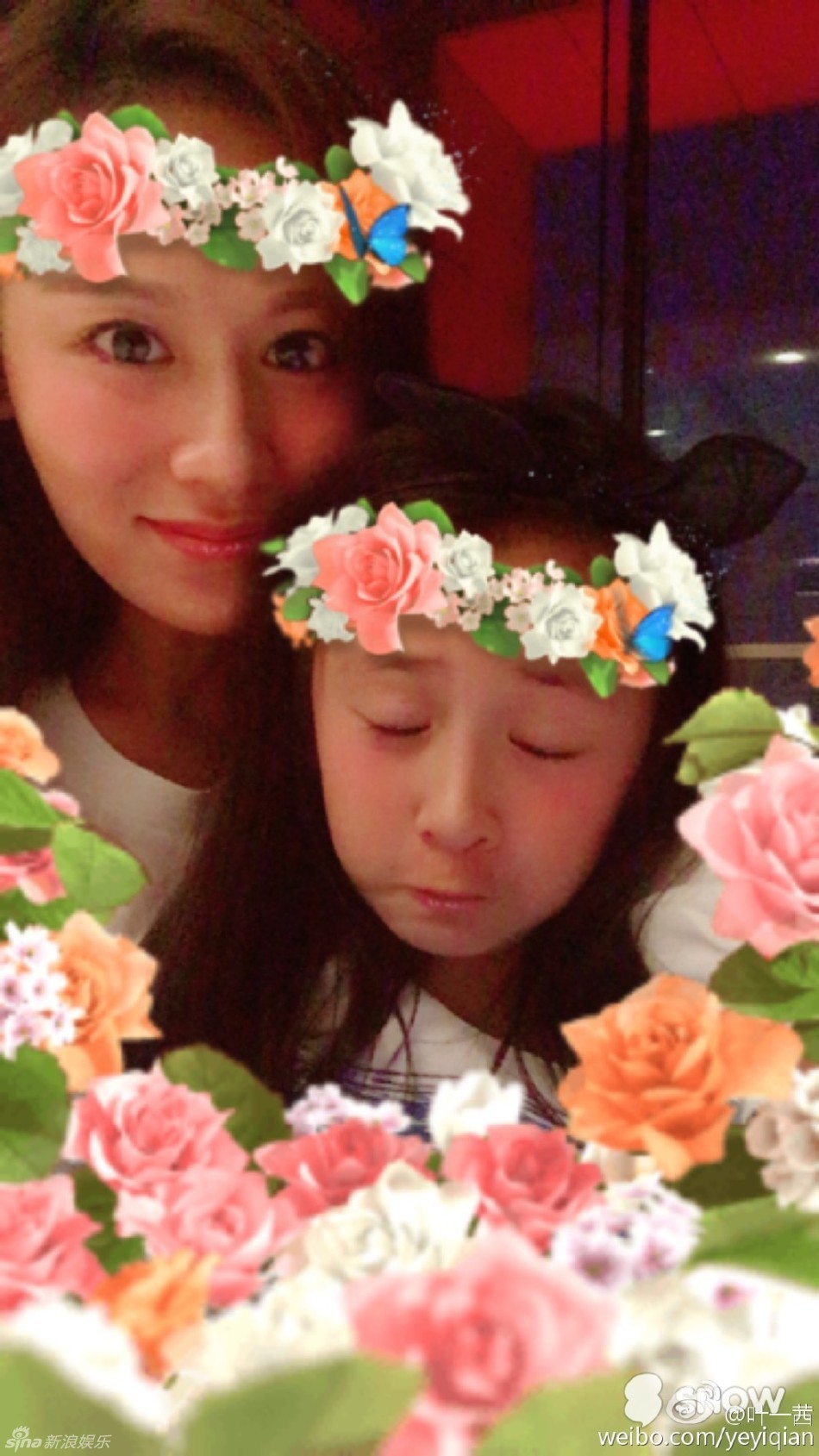 叶一茜和女儿森碟