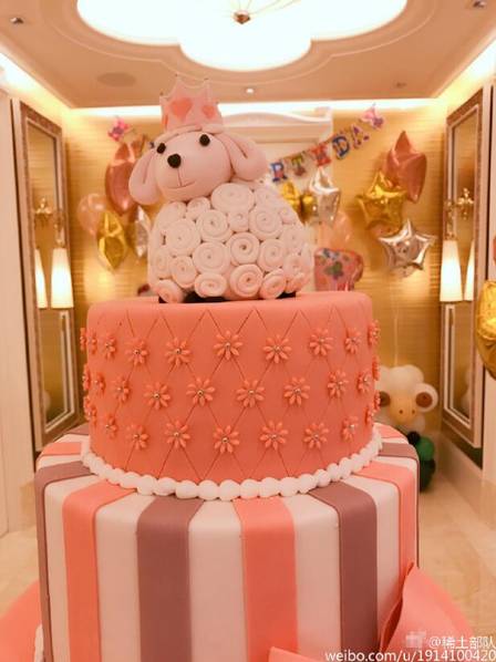 cb24df756f837b4_size57_w617_h823.jpg